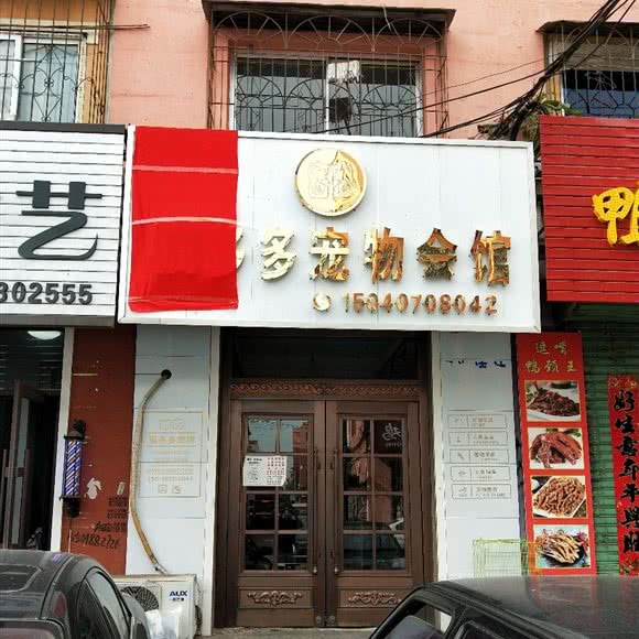 猫多多宠物:鞍山市岫岩满族自治县