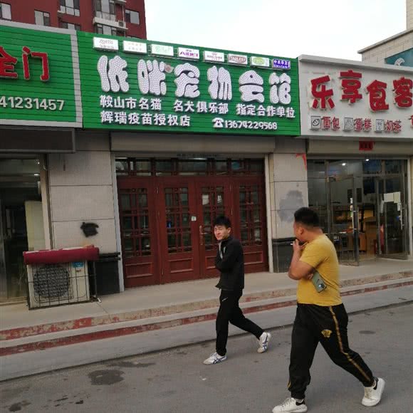 依咪万宠物会馆:鞍山市海城市