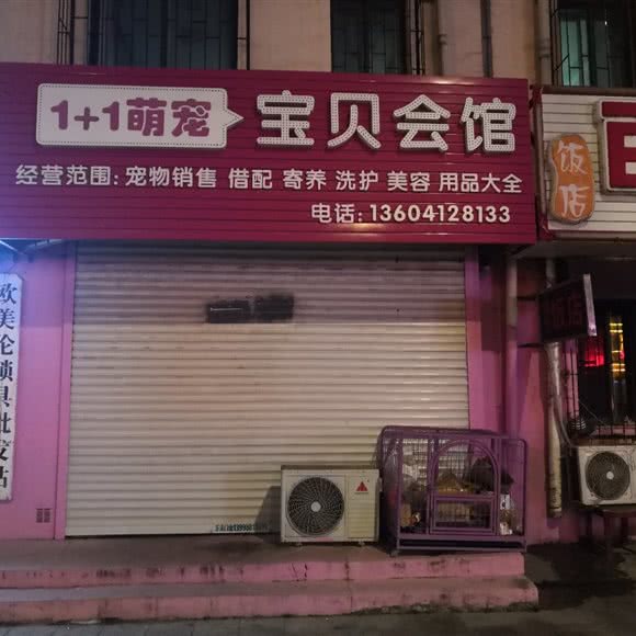 1+1萌宠宝贝会馆:鞍山市海城市
