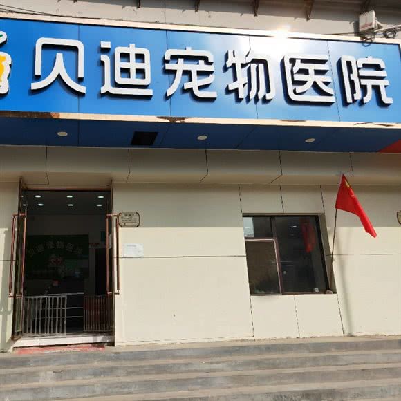 贝迪宠物医院:太原市小店区高新科技产业区附近