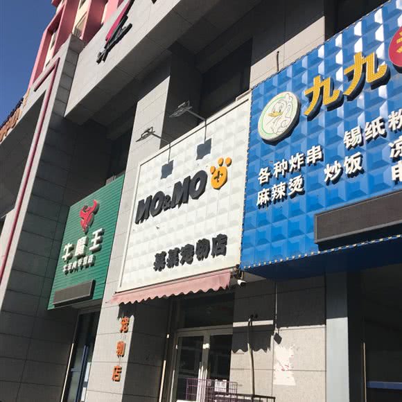 某某宠物店:鞍山市海城市