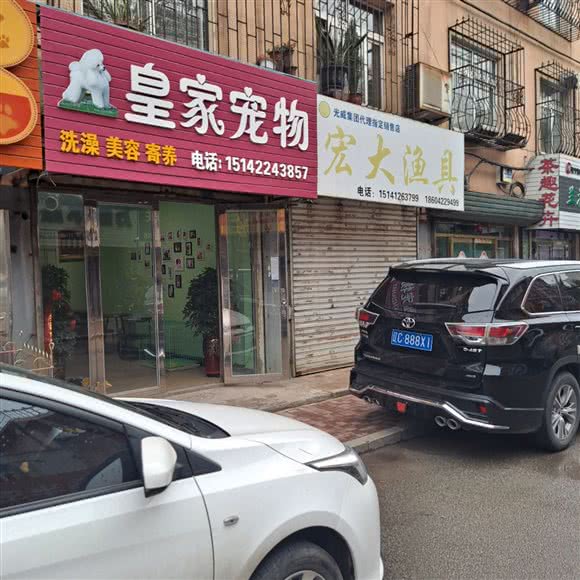 英国皇家宠物:鞍山市海城市