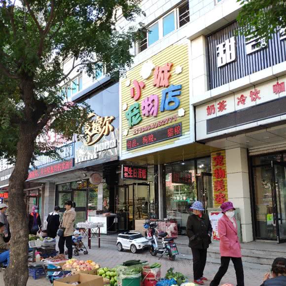 小城宠物店:鞍山市海城市