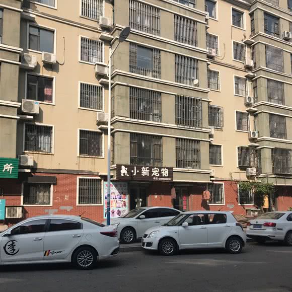 小新宠物:鞍山市海城市