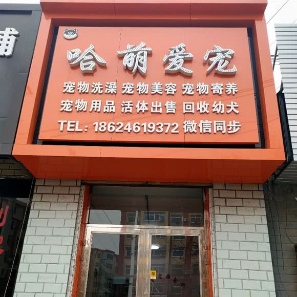哈萌爱宠宠物:鞍山市海城市