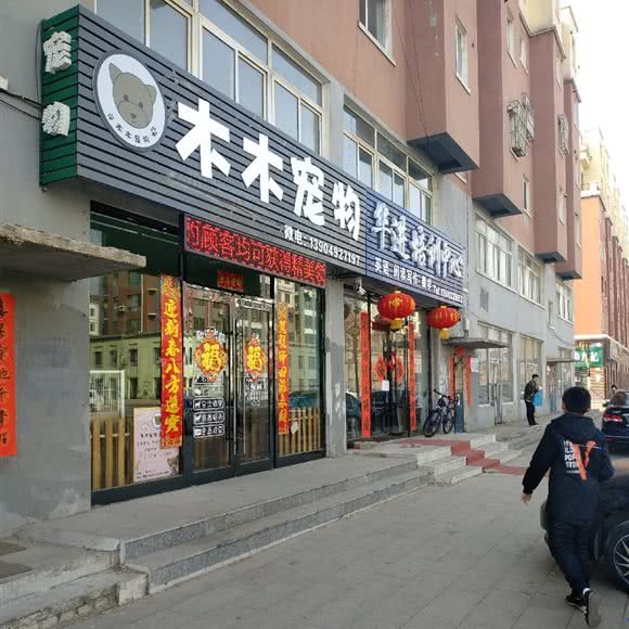 木木宠物:鞍山市海城市