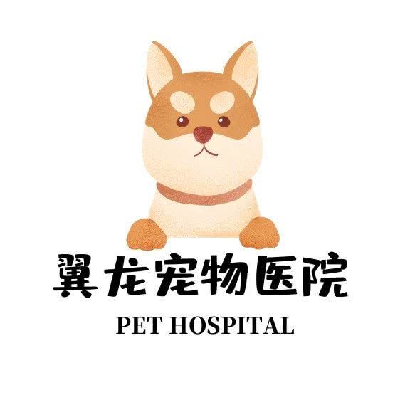 翼龙宠物门诊:鞍山市海城市