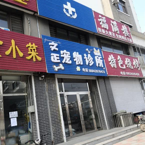 文正宠物诊所:鞍山市海城市