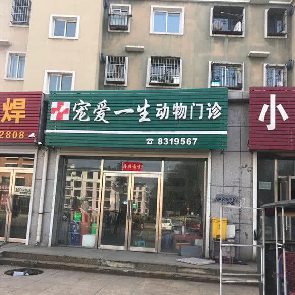 宠爱一生动物门诊:鞍山市海城市