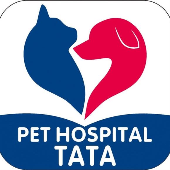 它它宠物医院:鞍山市海城市