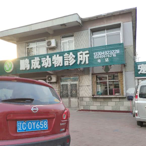 鹏成动物诊所:鞍山市海城市
