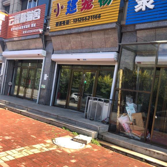 小建宠物:抚顺市顺城区