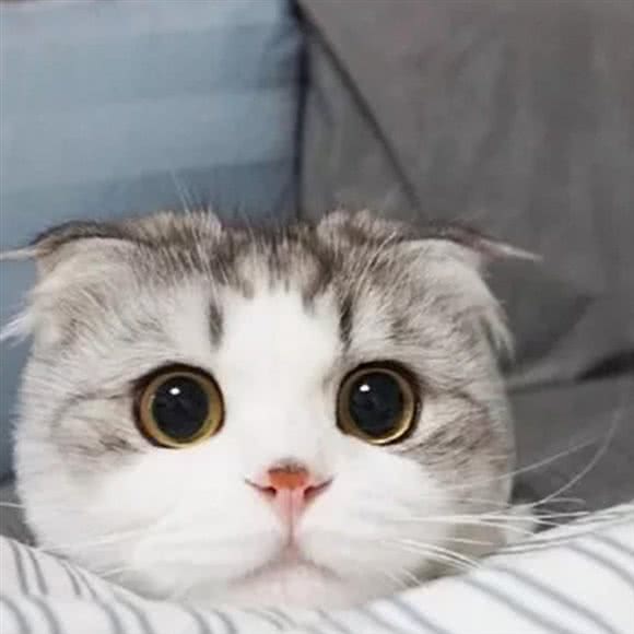 铭宠生活会馆:抚顺市顺城区