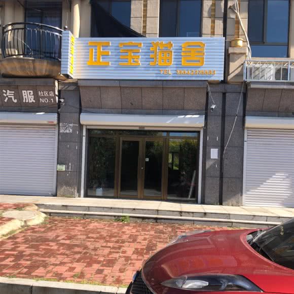 正宝猫舍:抚顺市顺城区