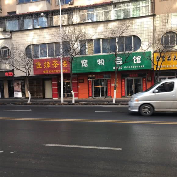 狗狗会馆:本溪市平山区