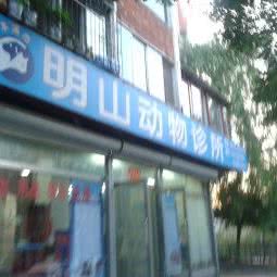 伴侣动物诊所:本溪市明山区