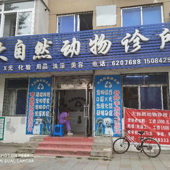 大自然动物诊所:本溪市本溪满族自治县