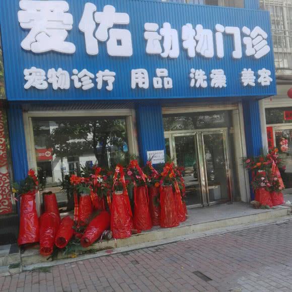 爱佑动物门诊:本溪市本溪满族自治县