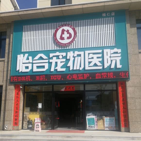 怡合宠物医院(桓仁店):本溪市桓仁满族自治县