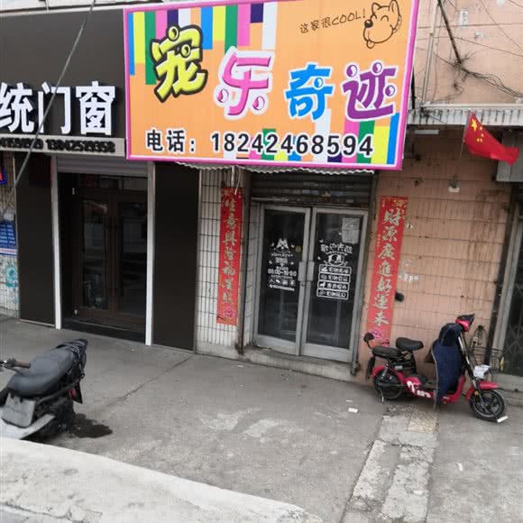 宠乐奇迹:丹东市元宝区