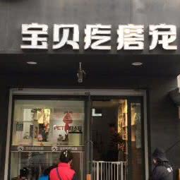 宝贝疙瘩宠物:丹东市元宝区