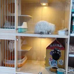 爱宠宣言宠物美容店:丹东市振兴区