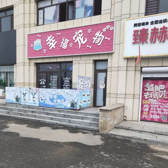 幸福宠物:丹东市振兴区