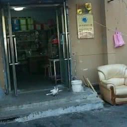 帽盔山动物诊所:丹东市振兴区