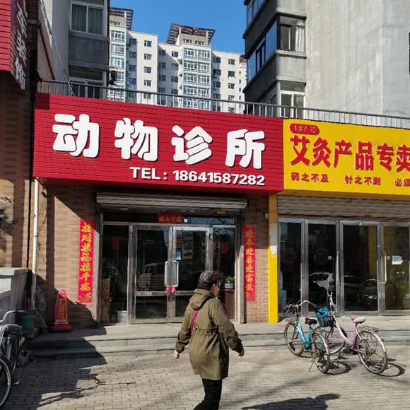 动物诊所:丹东市振兴区