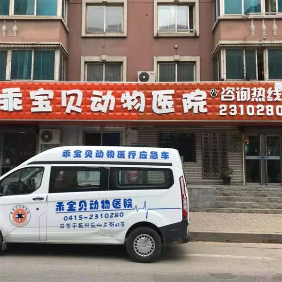 乖宝贝动物医院:丹东市振兴区