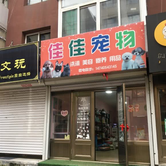 佳佳狗狗:丹东市宽甸满族自治县