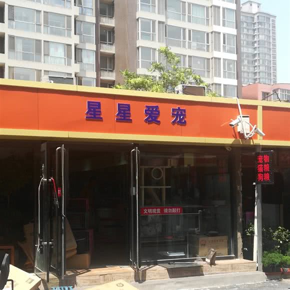 星星爱宠:太原市小店区长治路附近