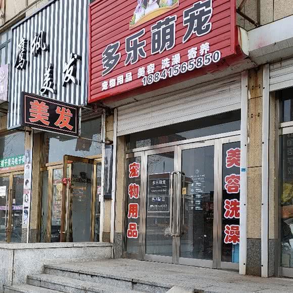 多乐萌宠:丹东市东港市