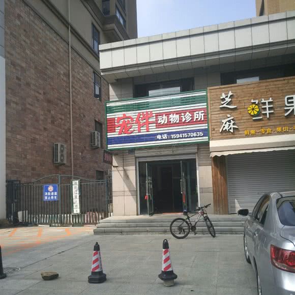 宠伴动物诊所:丹东市东港市