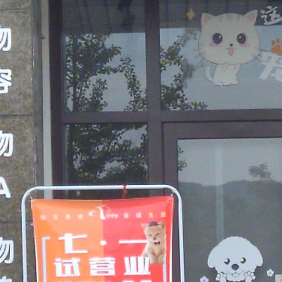 派多格宠物连锁(凤凰首府店):丹东市凤城市