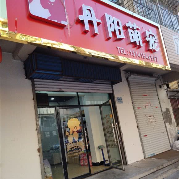 丹阳萌宠:丹东市凤城市