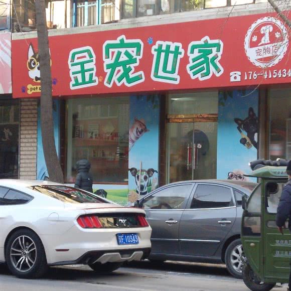 金宠世家:丹东市凤城市