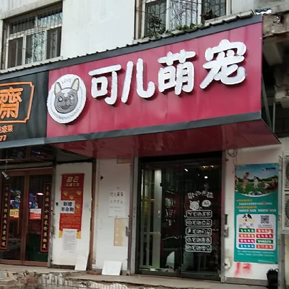 可儿萌宠:太原市小店区长治路附近