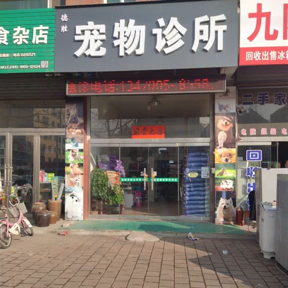 德胜宠物狗诊所:丹东市凤城市