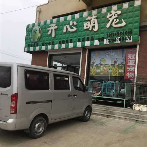 开心萌宠:锦州市黑山县