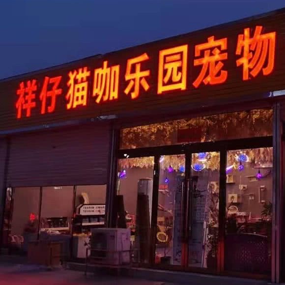祥仔猫咖乐园宠物生活馆:太原市小店区真武路附近