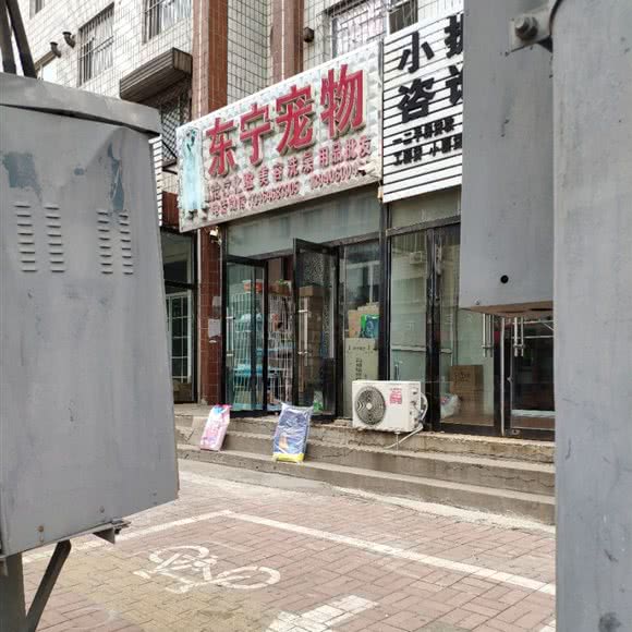 东宁宠物:锦州市凌海市