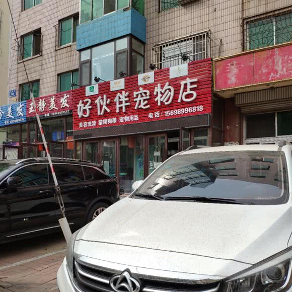 好伙伴宠物店:锦州市凌海市