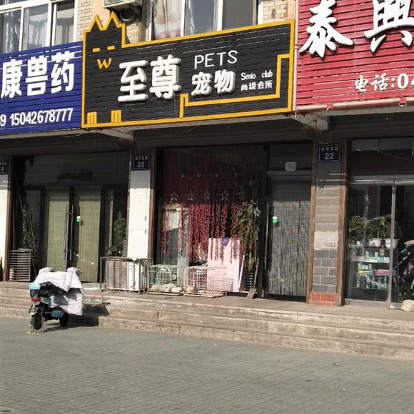 至尊宠物:锦州市北镇市