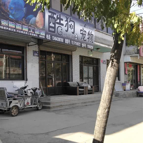 酷狗宠物:锦州市北镇市