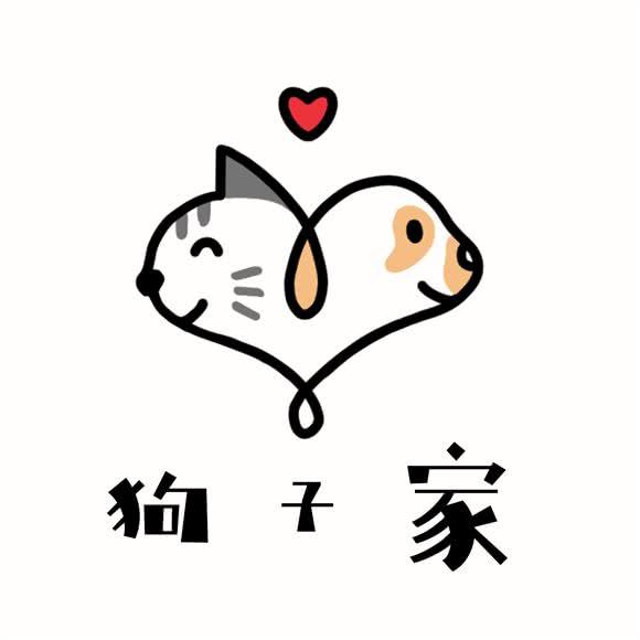 狗子家:太原市小店区坞城路附近