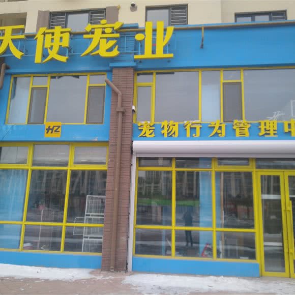 天使宠业:营口市老边区