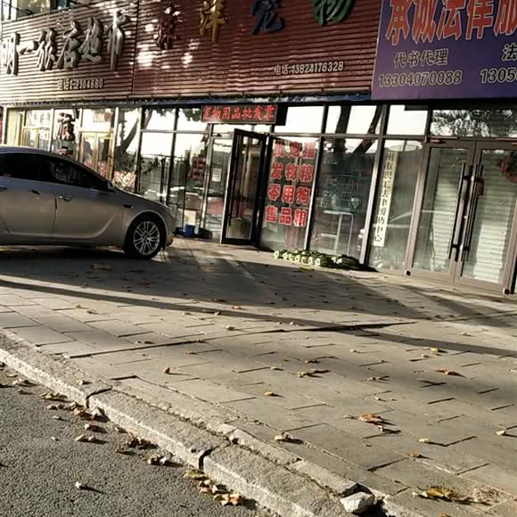 森洋宠物:营口市盖州市