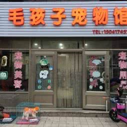 毛孩子宠物馆:营口市盖州市
