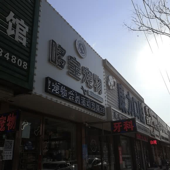 哆宝宠物:营口市大石桥市
